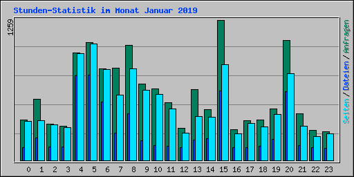Stunden-Statistik im Monat Januar 2019