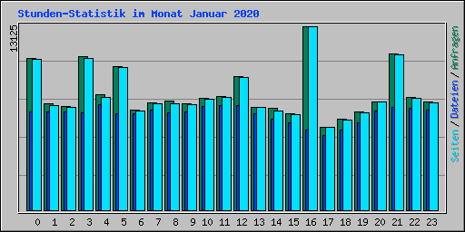 Stunden-Statistik im Monat Januar 2020