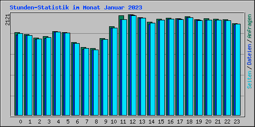 Stunden-Statistik im Monat Januar 2023