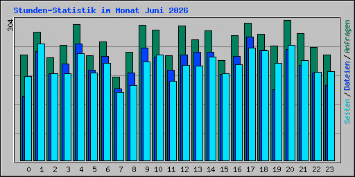 Stunden-Statistik im Monat Juni 2026